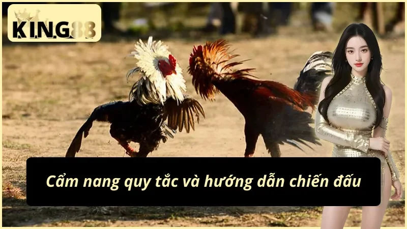 Nguyên tắc vàng trong đá gà cựa dao KING88