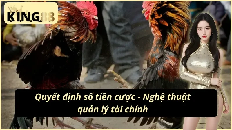 Nghệ thuật quản lý tài chính cùng cao thủ đá gà cựa dao KING88