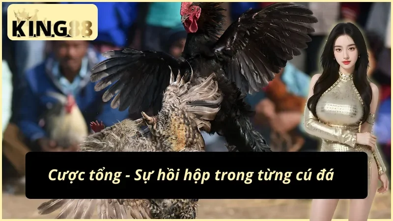 Chìm đắm trong sự hồi hộp cùng đá gà cựa sắt KING88
