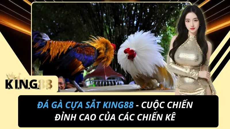 Đá Gà Cựa Sắt - Cuộc Chiến Đỉnh Cao Của Các Chiến Kê Tại KING88 3 Đá Gà Cựa Sắt