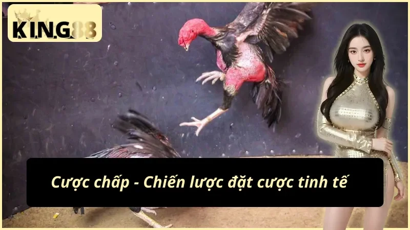 Đá Gà Philippines: Đấu Trường Chiến Kê Online An Toàn Và Đẳng Cấp KING88 4 Chiến lược đặt cược đá gà Philippines KING88 tinh tế