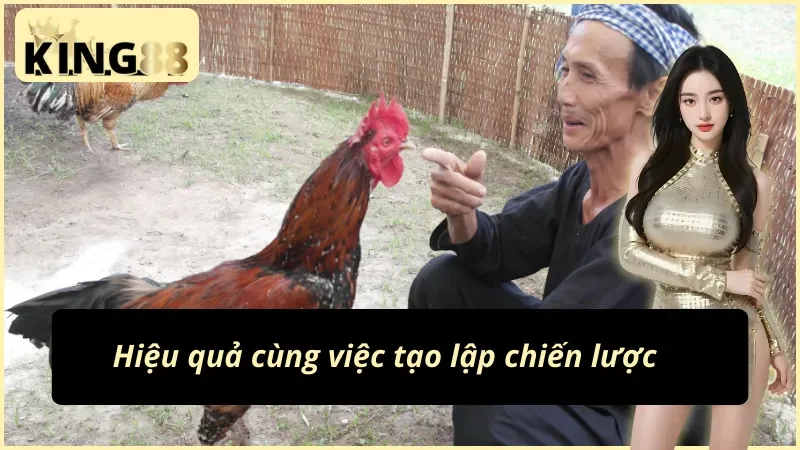 Đá Gà Philippines: Đấu Trường Chiến Kê Online An Toàn Và Đẳng Cấp KING88 6 Hiệu quả cùng chiến lược cược đá gà Philippines KING88