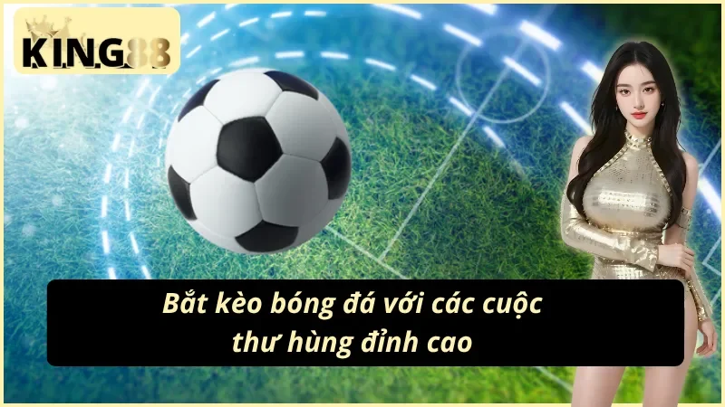 Trang Chủ 45 Trổ tài thiện xạ với săn cá tại nhà cái top 1 Việt Nam